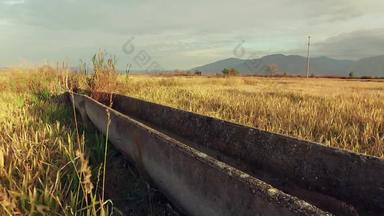 人工混凝土灌溉查纳尔大米小麦黑麦场